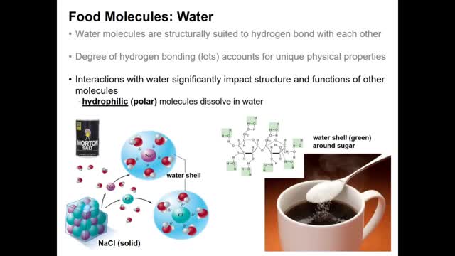 Introduction to Food Chemistry Part Two