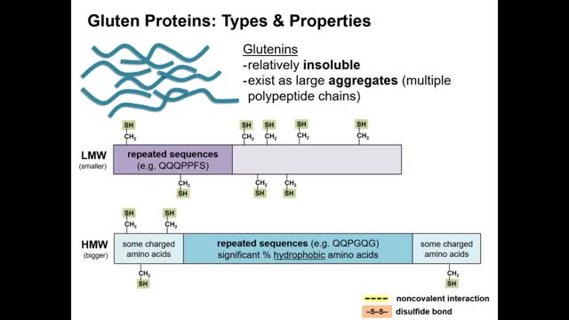 Proteins in the Context of Gluten