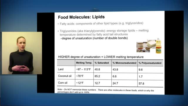 Introduction to Food Chemistry Part Three