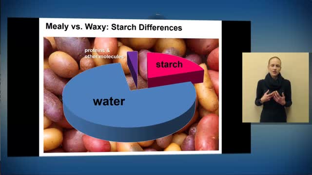 Starch Chemistry and Potatoes