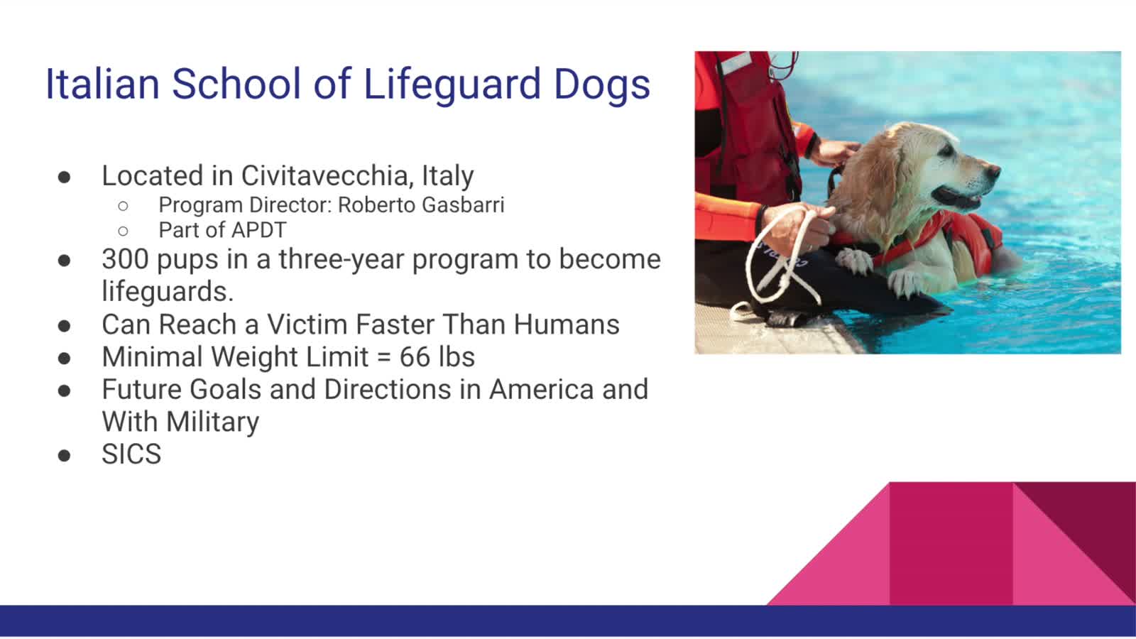 Lifeguard Dogs in Croatia and Italy